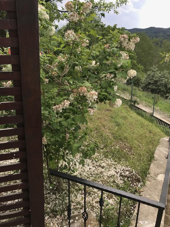 Cabana Breaza - Skyview Cottage Eksteriør bilde